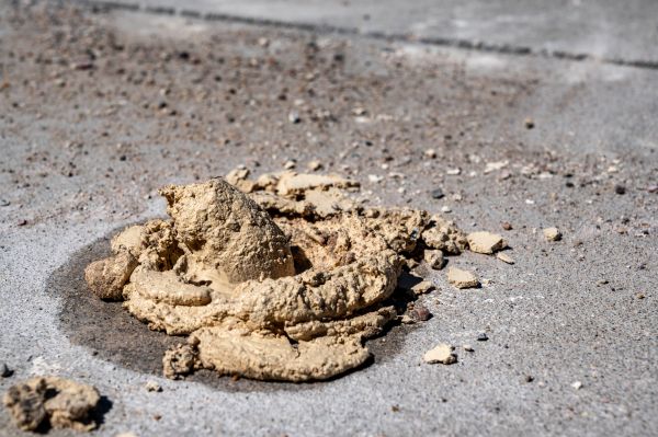 Cost of Driveway Slab Leveling in San Mateo
